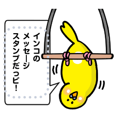 budgie(message)