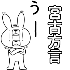 BIG Dialect rabbit[miyako]