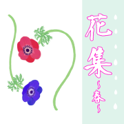 Spring flowers.