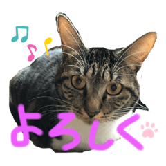 shibutoko_20201221162623