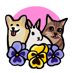 Your pet and Language of flowers
