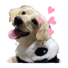 cream_20201221170948