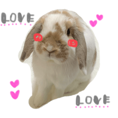 ❤️RON STAMP⓶❤️