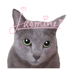 One day of princess cat Jasmine No.1