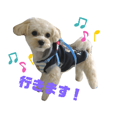 Suzu_20201221225813