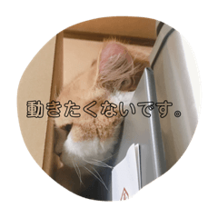 yuina_20201221222244