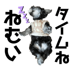 Nagisa_20201221184601