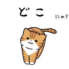 Red tabby and white cats sticker3