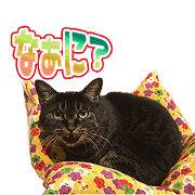 KRsama's Sticker