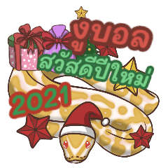 Ball Python Happy New Year