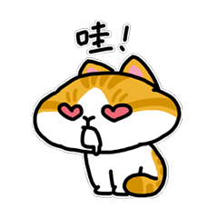 眯眼小貓咪