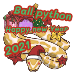 Ballpython Happy new year 2021