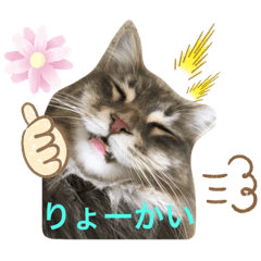 Hana_20201222132601