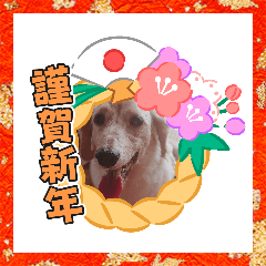 Ku San Rui Akeome Line貼圖輕鬆購 免vip儲值滿300送50 滿600免手續