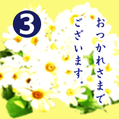 Polite greetings in Japanese with flower