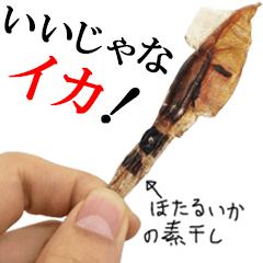 Firefly squid(dried fish)