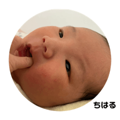 Kitty_20201222163607