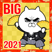 Attractive eye's cat New Year 2021 BIG