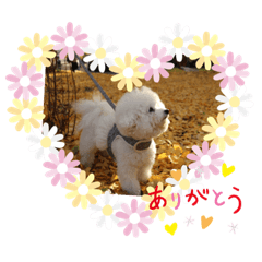 akiko_20201222222421