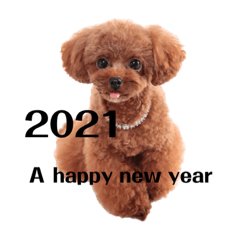 ayumi_20201222230210