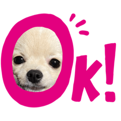 rol__