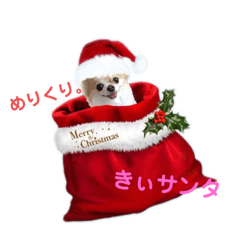 Haruna_20201222234841