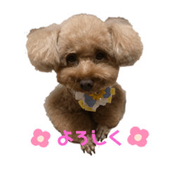 hana_20201222230940