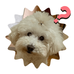 hiyori_20201222181858