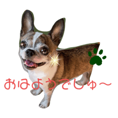 tomato club_20201223052354