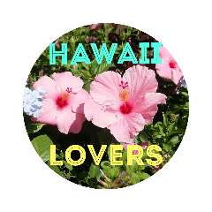 HAWAII LOVERS - I LOVE HAWAII