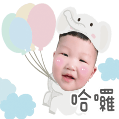 蔡脯米