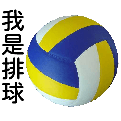 A volleyball!