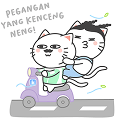 Kiki si kucing lucu