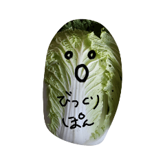 Eat Chinese cabbage