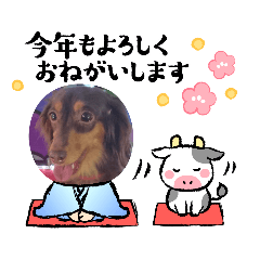 cocoa_20201223182233