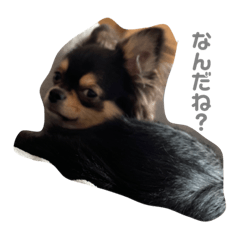 kaho_20201223194158