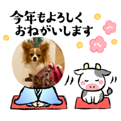 yukari_20201223213808