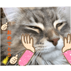 Hana_20201224075722