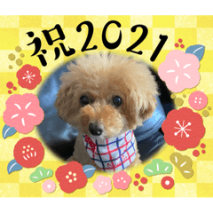 Hana_20201224091321
