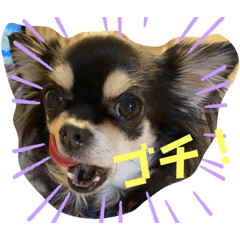 saori_20201223222348