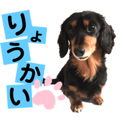 毎日使える ダックスの日常使いスタンプ Lineクリエイターズスタンプ Stamplist 毎日使える ダックスの日常使いスタンプ Lineクリエイターズスタンプ Stamplist