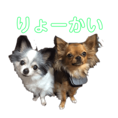 Mizuki_20201224092142