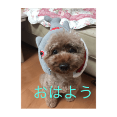 Hana_20201224092330