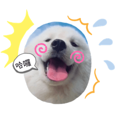 雄小瑋love dog