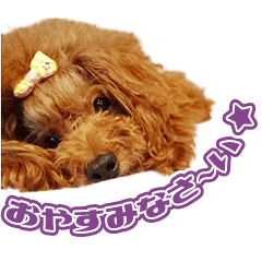 KSsama's dog Sticker