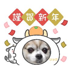 YUKARI_20201224125023