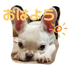 mizuki_20201224133808