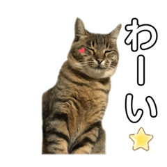 Nanami_20201224135322