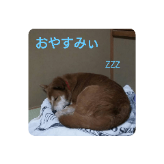 tomomi_20201224125715