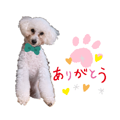 Risa_20201224164716